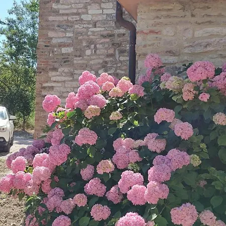 Ca'solare Corticelli * San Cristoforo de Valli