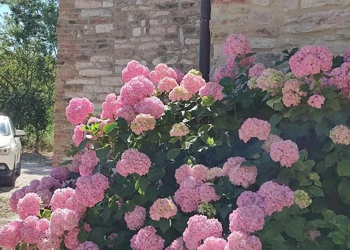 Ca'solare Corticelli * San Cristoforo de Valli